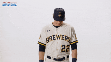 Milwaukee Brewers Wink GIF by American Family Insurance