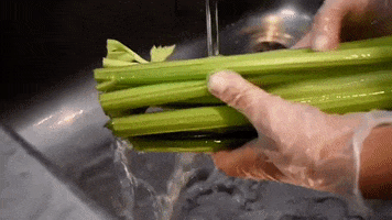 200.gif?cid=fc005b08336c1cd98036b623484fc9752be27f8bb36fd0a8&rid=200.gif&ct=g
