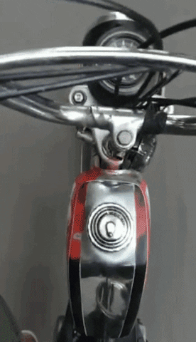 The Nockouts GIF
