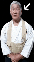 Karate Matsu GIF by Matsubayashi