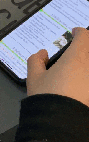 Animated GIF