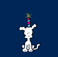 chippythedog love dogs independence day 4th of july GIF
