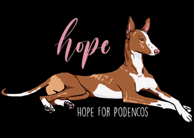 Hope For Podencos GIF