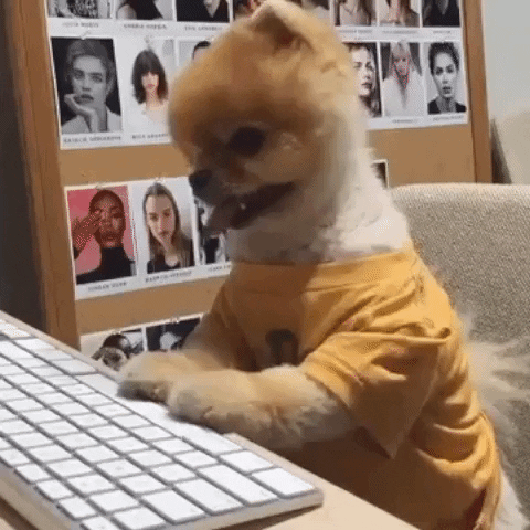 animal typing on keyboard gif