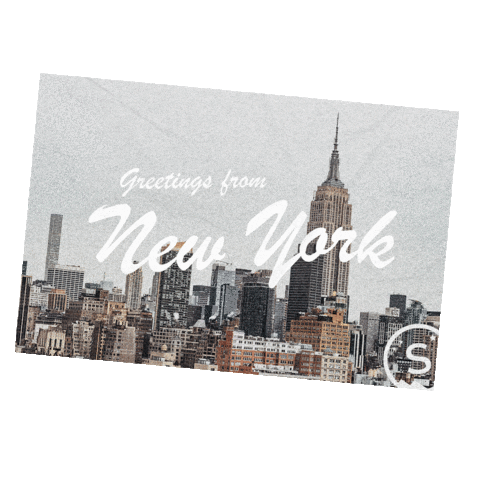 Steller Stories Sticker