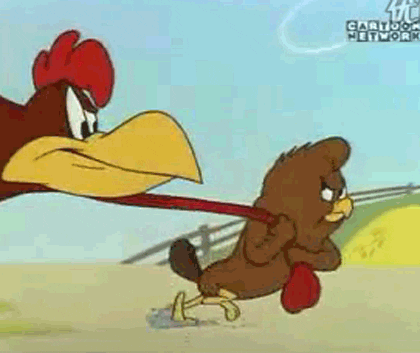 Chickenhawk GIFs - Get the best GIF on GIPHY