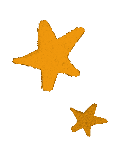 Flower Stars Sticker