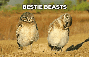 Beast Bestie GIF by Memes and gifs