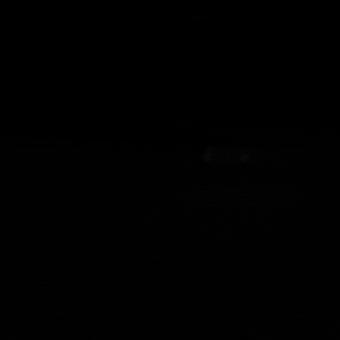 Driving Ted Bundy GIF by VVS FILMS