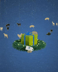 de heus kerst