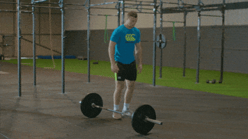 canterbury  GIF