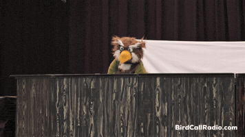 Book Read GIF