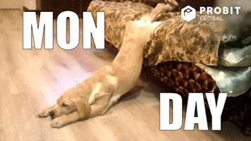 200.gif?cid=f0bdee70qa121sida4n1tc09wefk73arysifxibpvgxzyrzy&rid=200.gif&ct=g