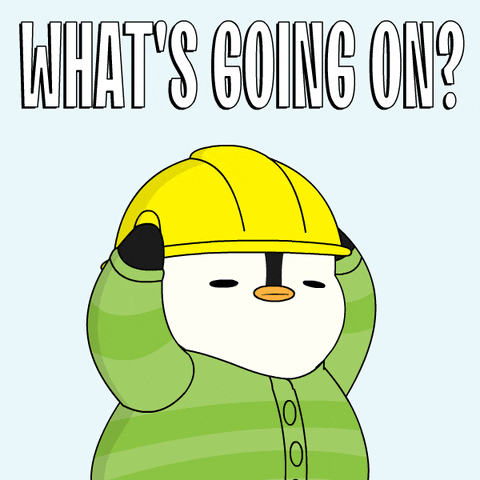 What Is Happening GIF by Pudgy Penguins