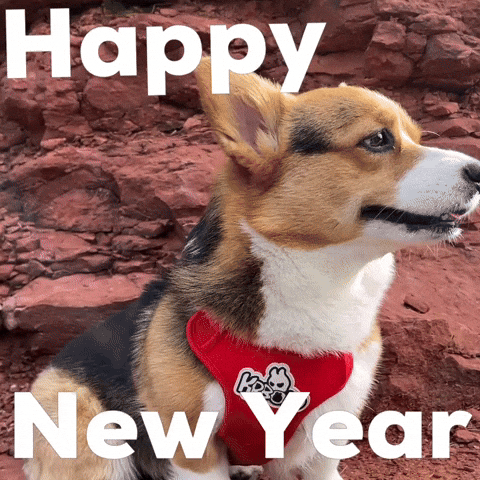 Happy New Year GIF