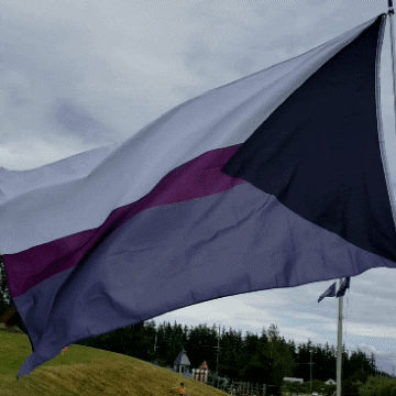 Pride Flag GIF by AceArchive