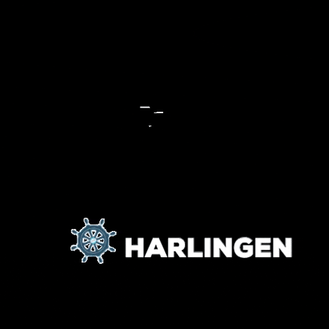 Harlingen Welkom aan Zee GIF