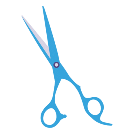 Scissors Hairdressing Sticker by Hair and Beauty Charity