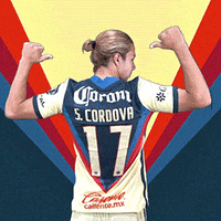 200.gif?cid=fc005b0803640df0cb4701cfe4f01891f7c345dbb6de3f87&rid=200.gif&ct=g