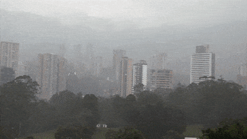 carolinapulgarinsuarez  GIF