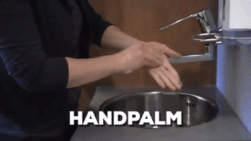 anneliesarendsen  GIF