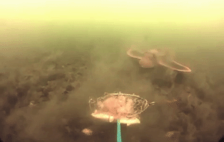 Armored Searobin GIF