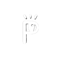 Paradigm Sticker