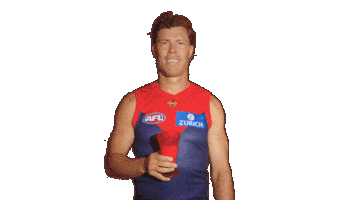 Melbourne Demons Milkshake Sticker by Melbournefc