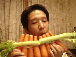 cheezburger funny wtf carrots <b>pan flute</b> - 200_s