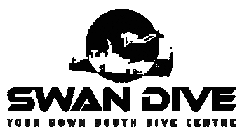 Swan Dive Dunsborough Sticker