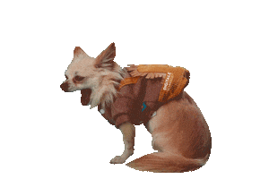 Sticker by Digitale Schmiede