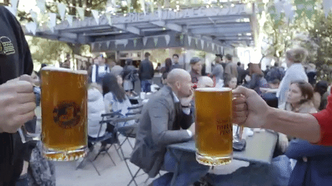 Image result for beer cheers gif