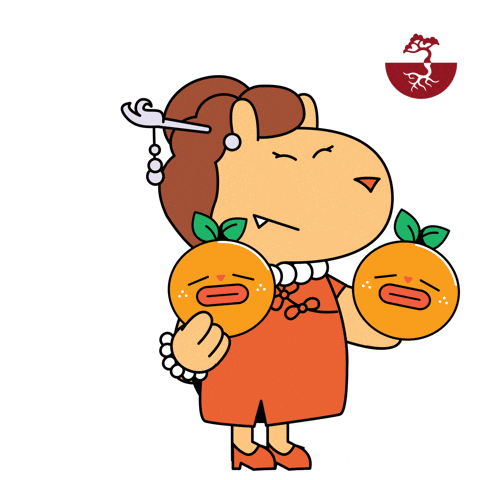 新年 Happy Chinese New Year GIF by Monkiddo