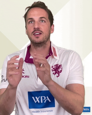 Sport Catch GIF by Somerset County Cricket Club
