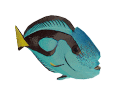 3D Day Sticker by MeshMinds