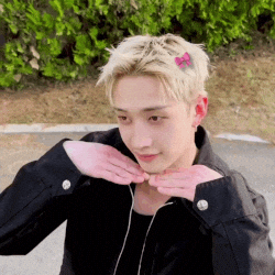 Stray Kids Chan GIF