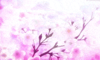 Sakura Animated GIF | Sakura art, Anime cherry blossom, Aesthetic anime