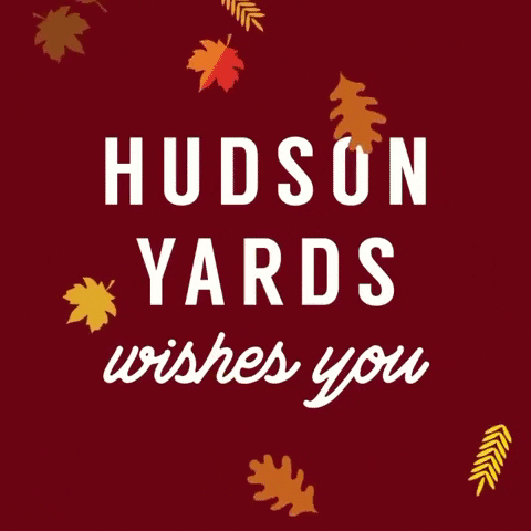 Hudson Yards New York GIF