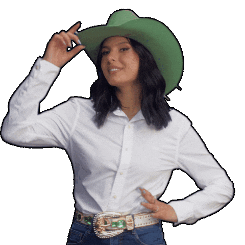 Ana Castela Sticker by Sicredi