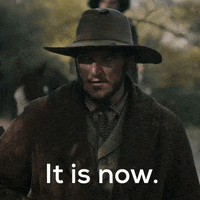 It Is Now GIFs - Find & Share on GIPHY