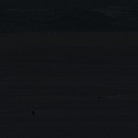 Penguin Motivation GIF