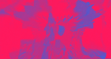 Bloom GIF