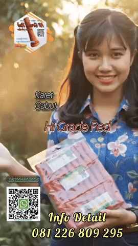 Chicken GIF