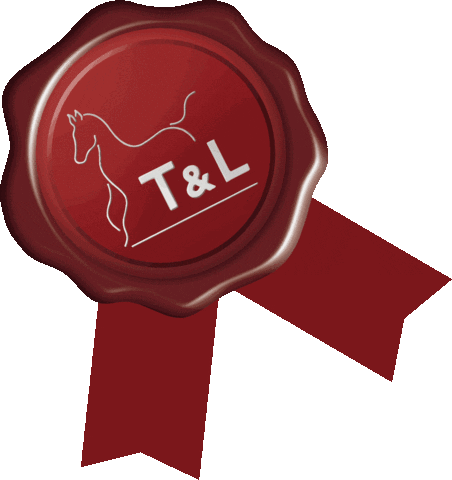 Tl Sticker by My Horse Dealer