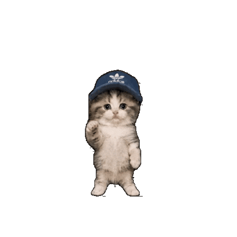 Dance Cat Sticker