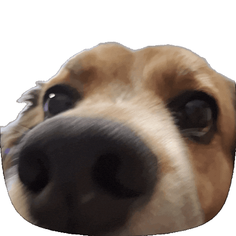 Happy Dog Sticker