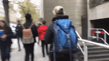 200.gif?cid=fc005b08bc7723016f390b1db9fbcafac4637d2477c61131&rid=200.gif&ct=g