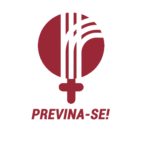 Programa Realize BR Sticker