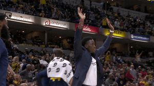 excited hands up GIF by NBA