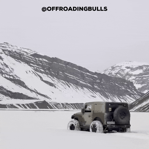 Snow Bulls GIF